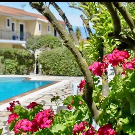 Lemon Tree Apartments B C Argostoli  Exteriér fotografie