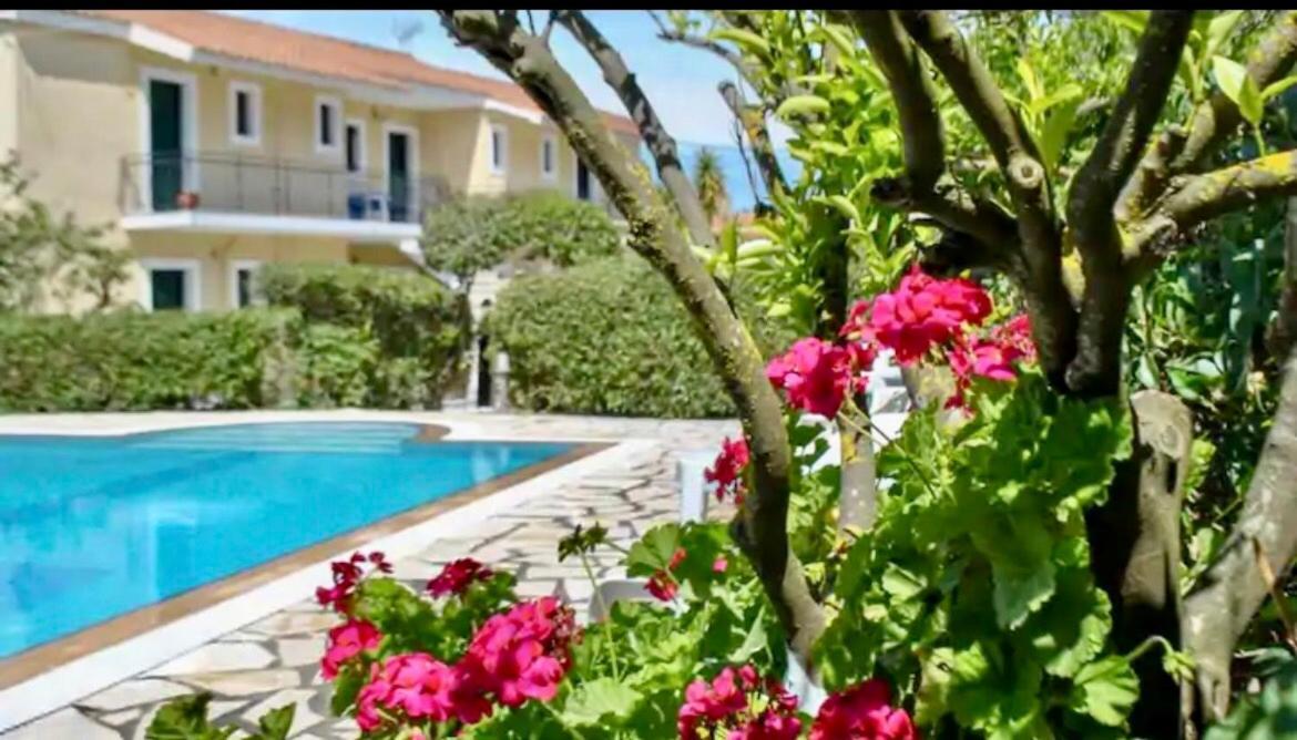 Lemon Tree Apartments B C Argostoli  Exteriér fotografie